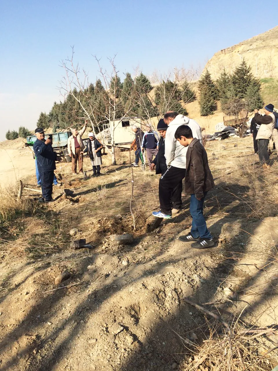 کاشت نهال درخت در باشگاه دیپلماتیک